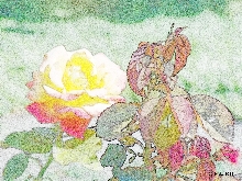 Rosen